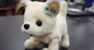 Japan robot dog detect stinky feet