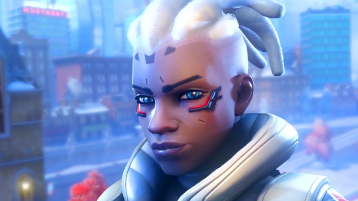 New overwatch hero in the works