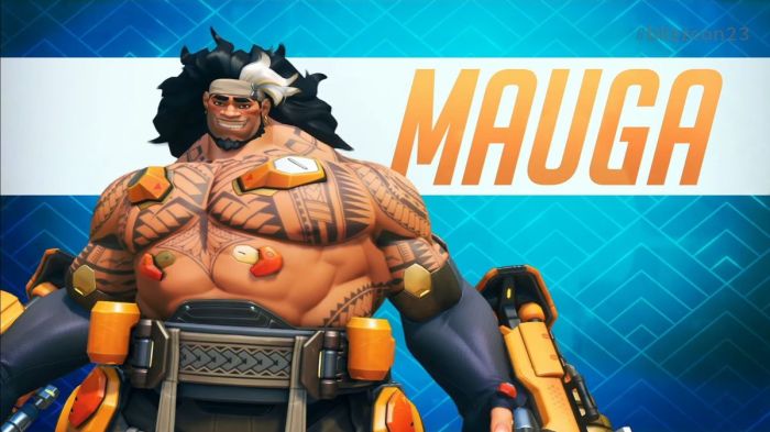 New overwatch hero in the works