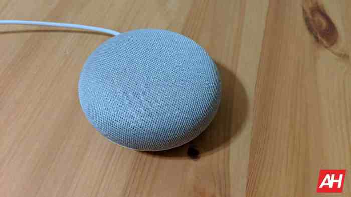 Google home mini leaked