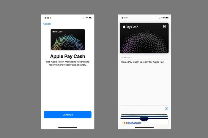 Ios 11 apple pay cash feature delayed