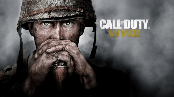 Cod wwii pc open beta sept 29