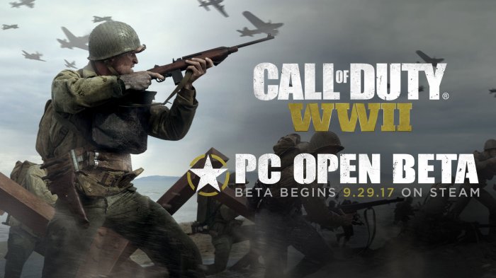Cod wwii pc open beta sept 29