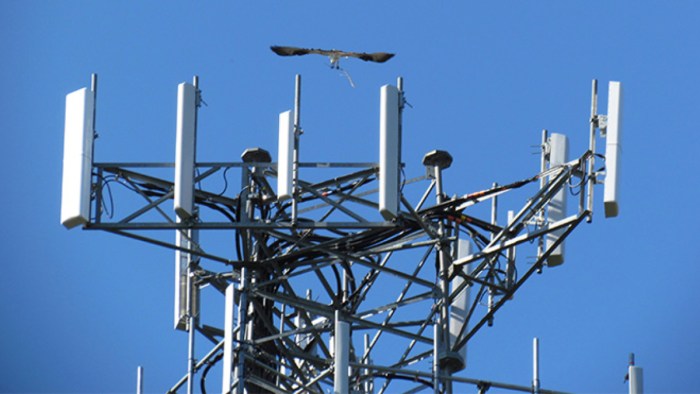 Iphone x and iphone 8 dont support t mobiles extended lte network