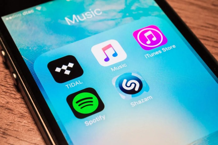 Chinese tech behemoth acquire spotify