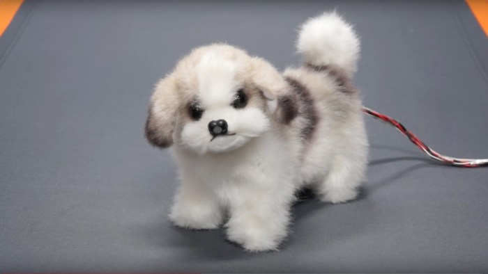 Japan robot dog detect stinky feet