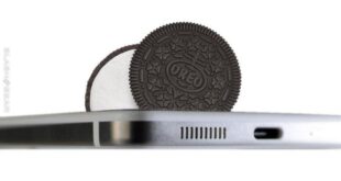 Essential phone get oreo update 1 2 months